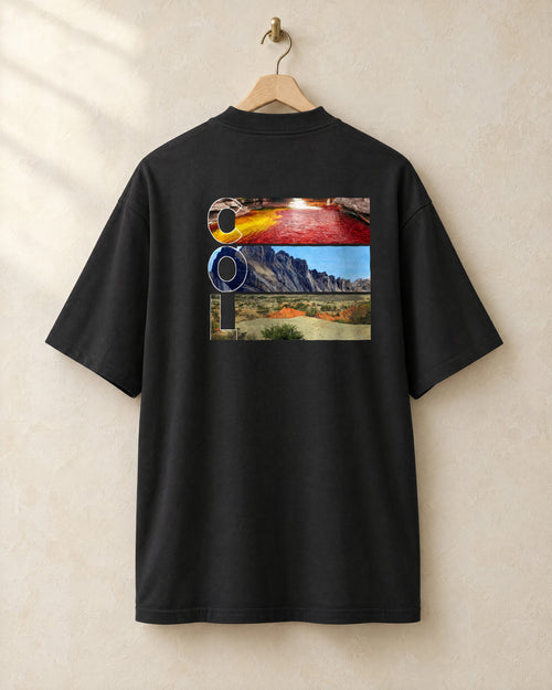 COL tee in black, back, on a hanger